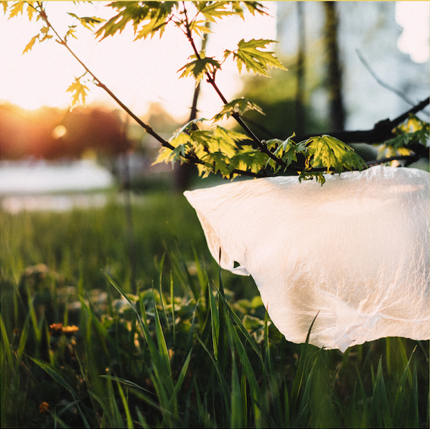 Plastic Free July