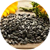 Helianthus Annuus (Sunflower) Seed Oil