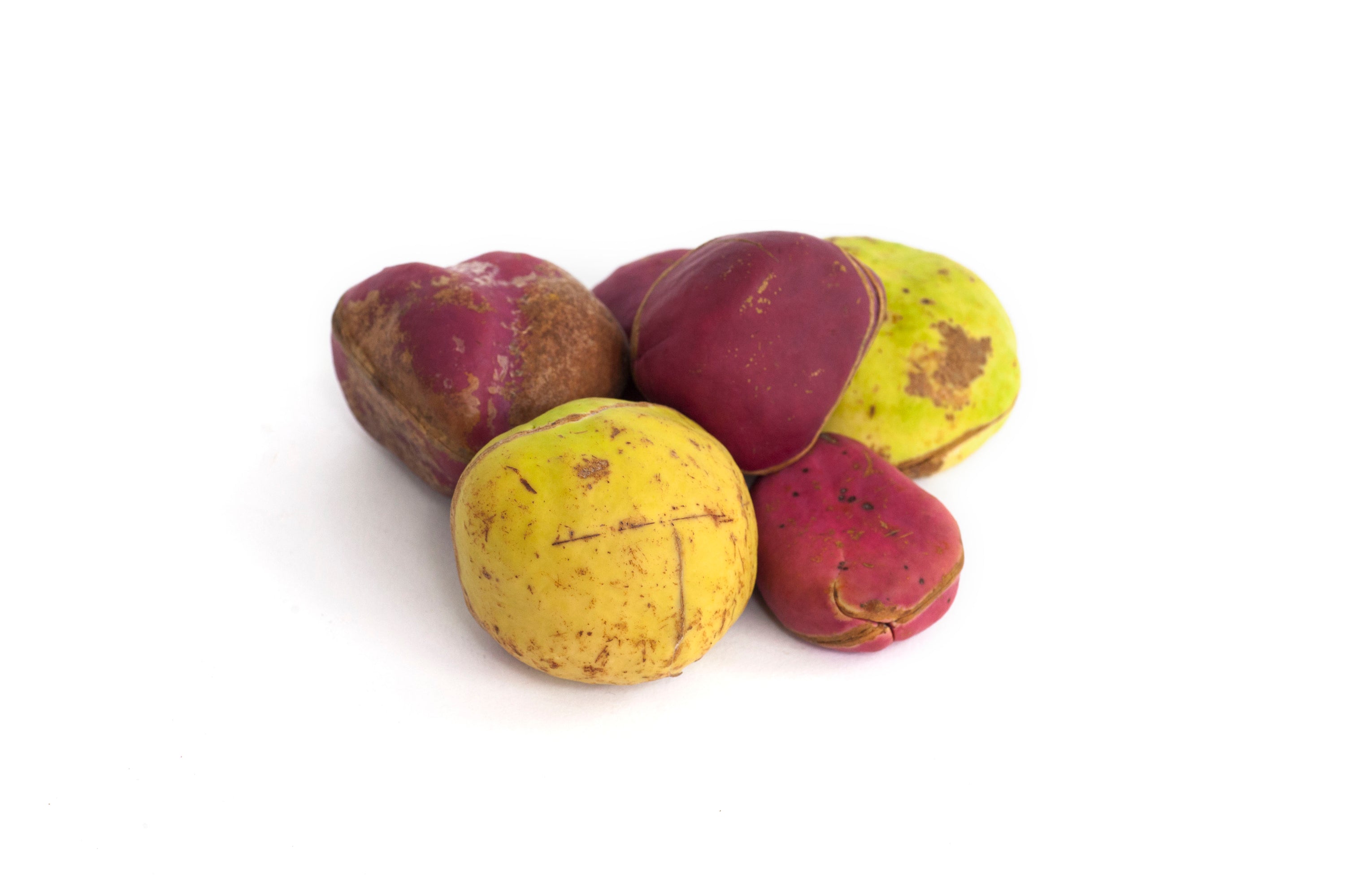 Kola Nut