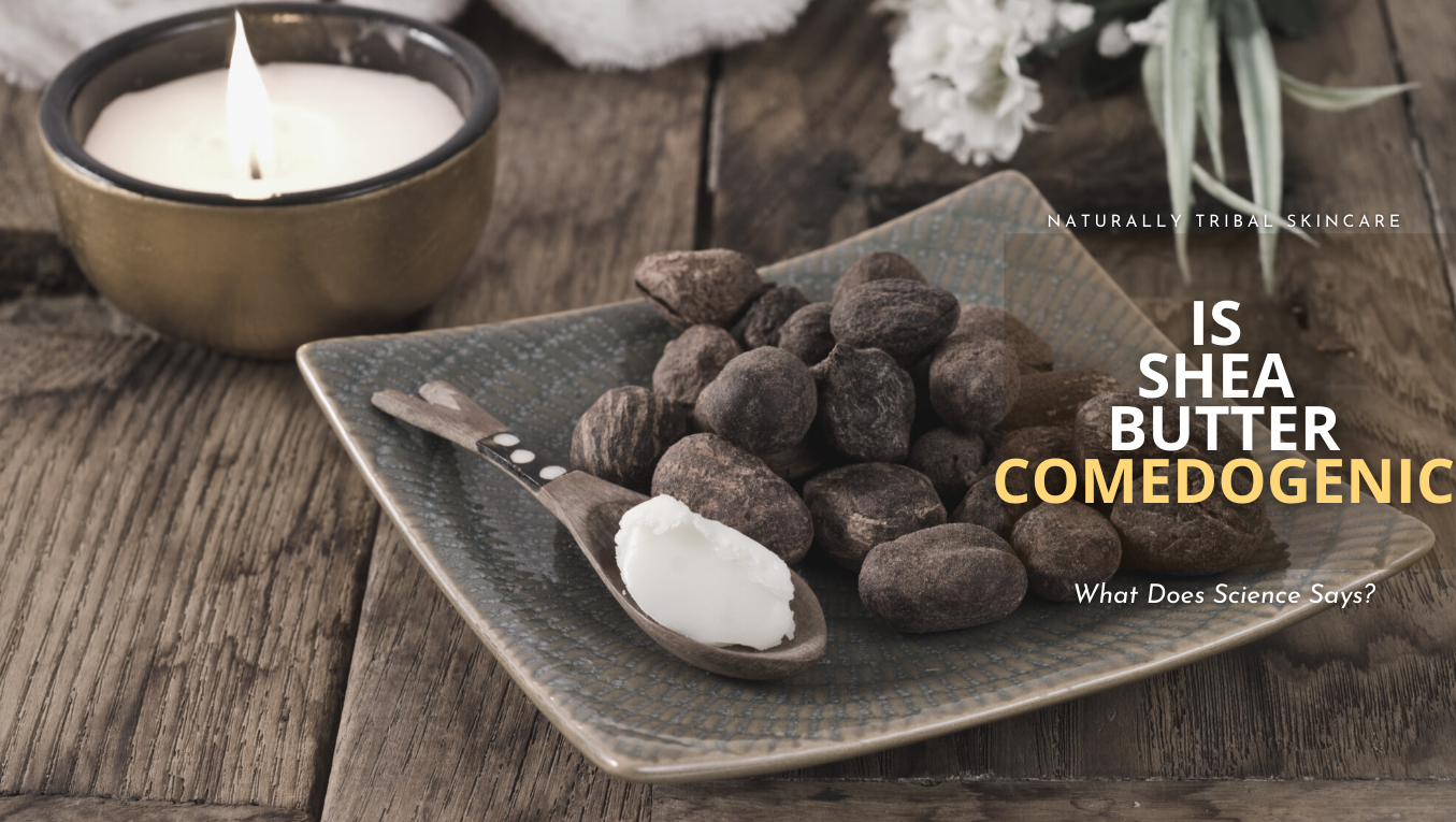 Is Shea Butter Comedogenic: Read this before you try it