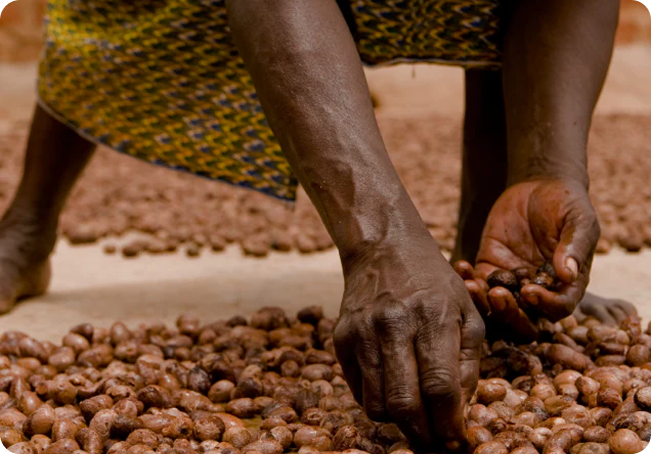 Ethical Sourcing
