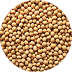 Glycine Soja (Soybean) Oil