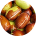 Simmondsia Chinensis (Jojoba) Seed Oil