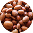 Argan Kernel Oil (Argania Spinosa)