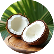 Coconut Oil (Cocos Nucifera)