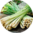 Cymbopogon Flexuosus (Lemongrass) Oil