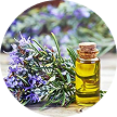 Rosmarinus Officinalis (Rosemary) Leaf Oil